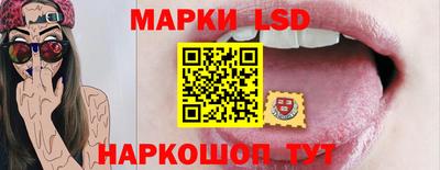 МДПВ Новозыбков