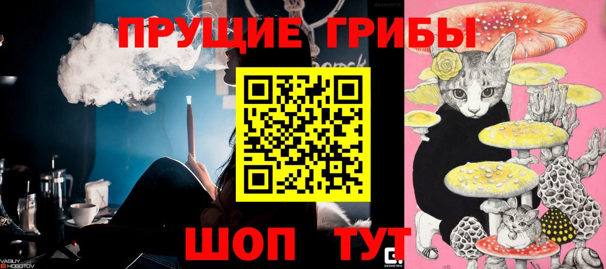 Галлюциногенные грибы MAGIC MUSHROOMS Сочи